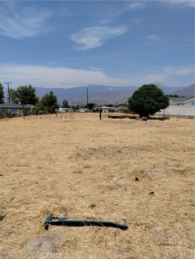 26054 Cypress