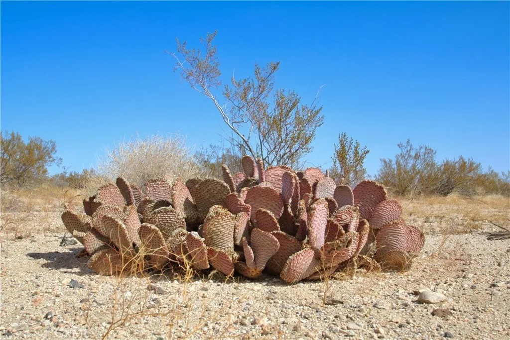 0 Moonlight Mesa