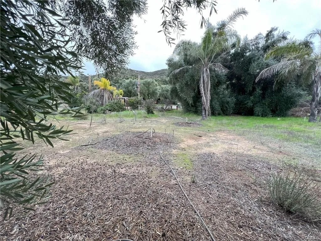 20787 Alameda Del Monte