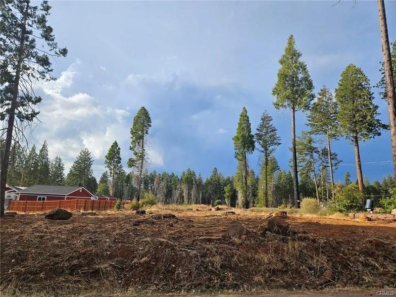 6323 Ponderosa