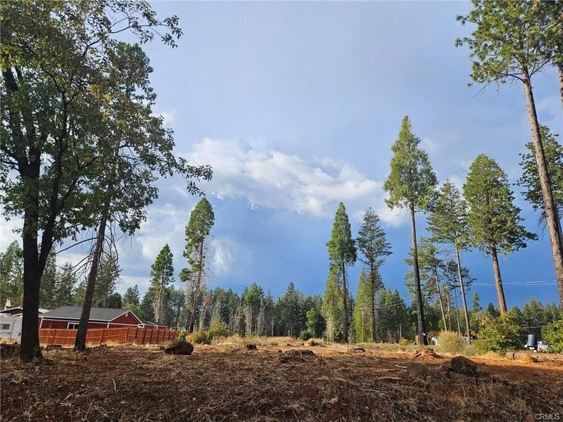 6323 Ponderosa