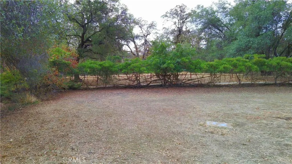 5264 Davis Road