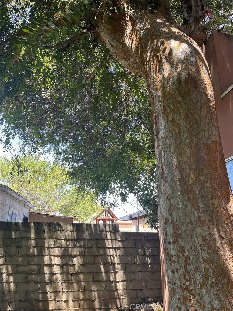 910 W Palmer Street