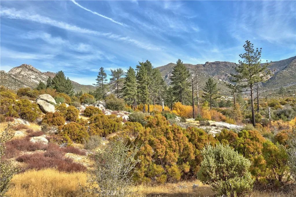 58111 Bonita Vista Road