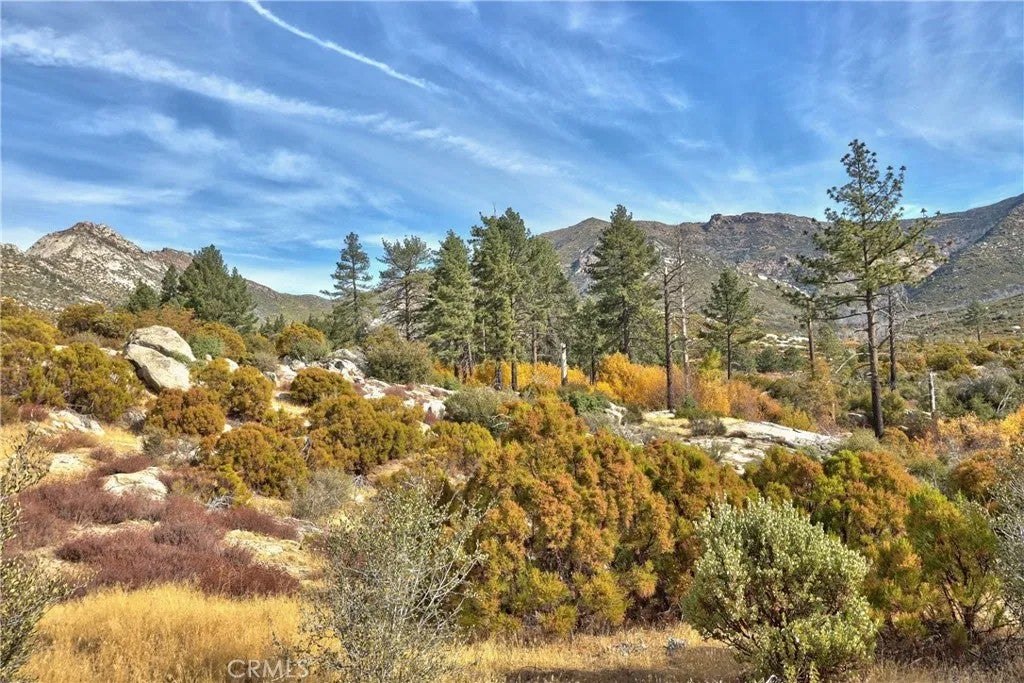 58111 Bonita Vista Road