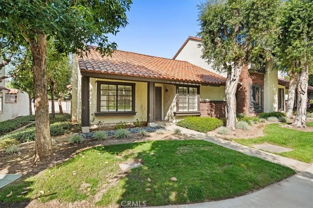 206 San Luis Rey
