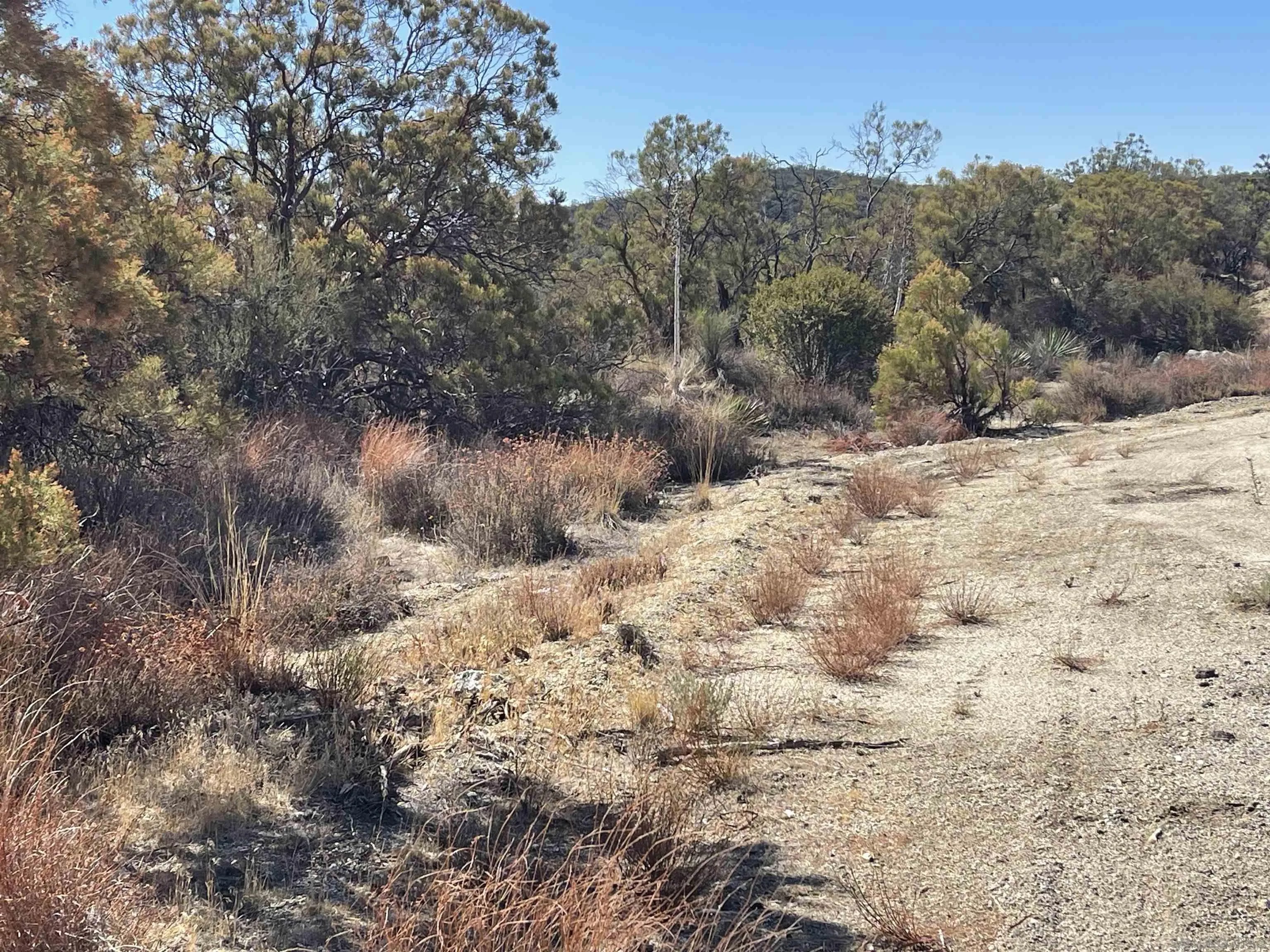 3 lots Chihuahua Valley Road 36