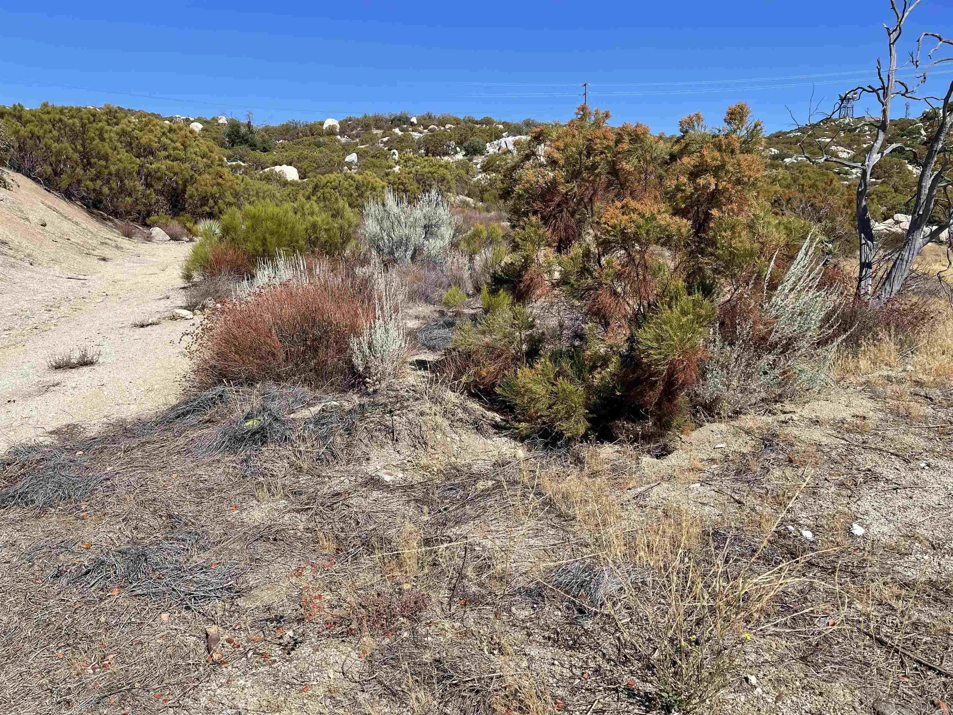 3 lots Chihuahua Valley Road 36