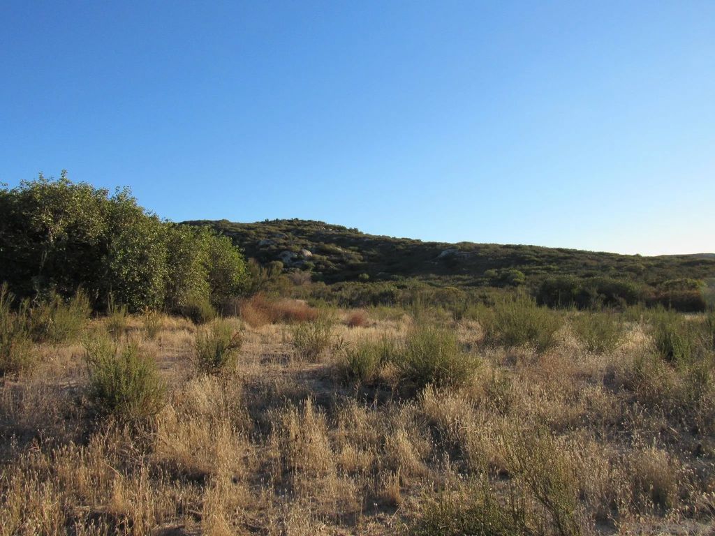 Photo of 1127 Calle Loreto, Campo, CA 91906 (MLS # 250045476)