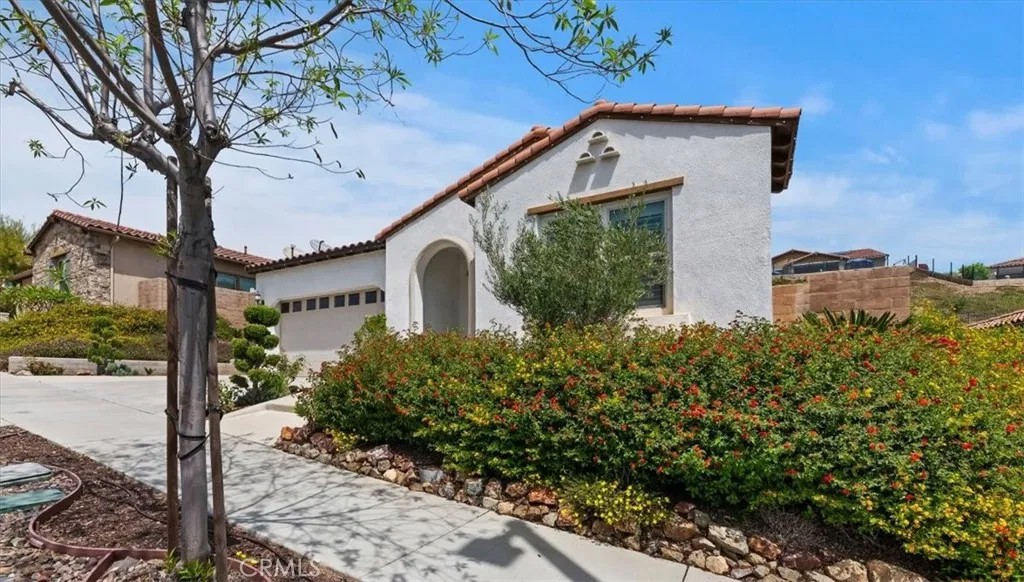 24636 Overlook Drive