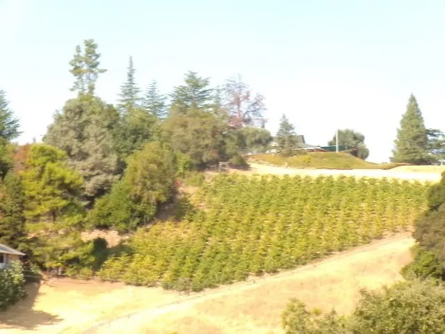 10450 Sunset Ridge