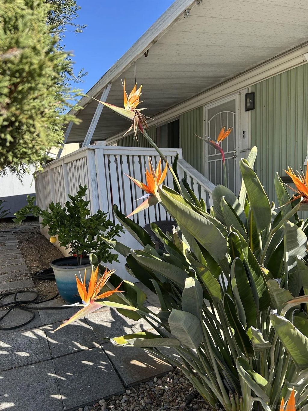 Photo of 13300 Los Coches Rd East #92 Rd, El Cajon, CA 92021 (MLS # 260002339)