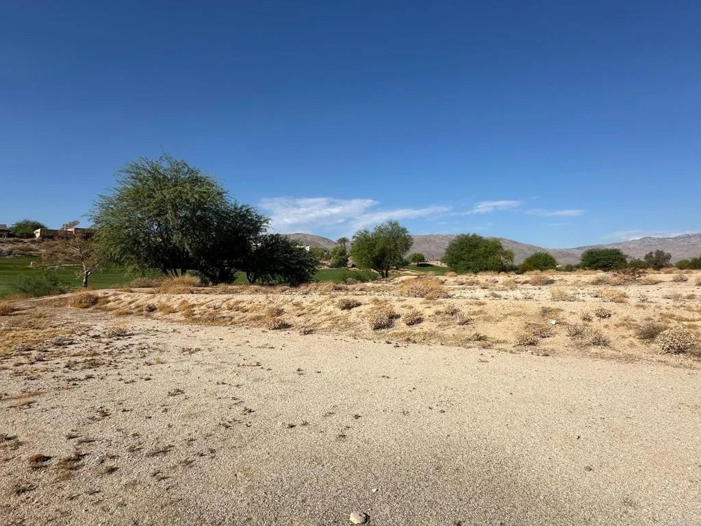 Photo of 0 Roadrunner, Borrego Springs, CA 92004 (MLS # NDP2605174)