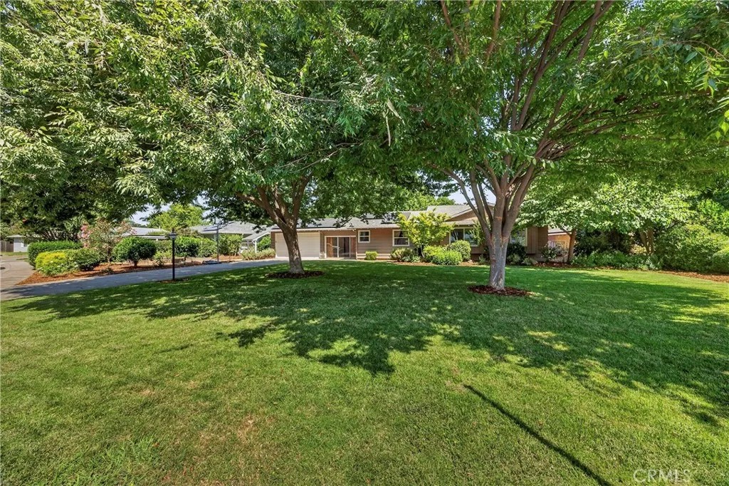602 Reed Park