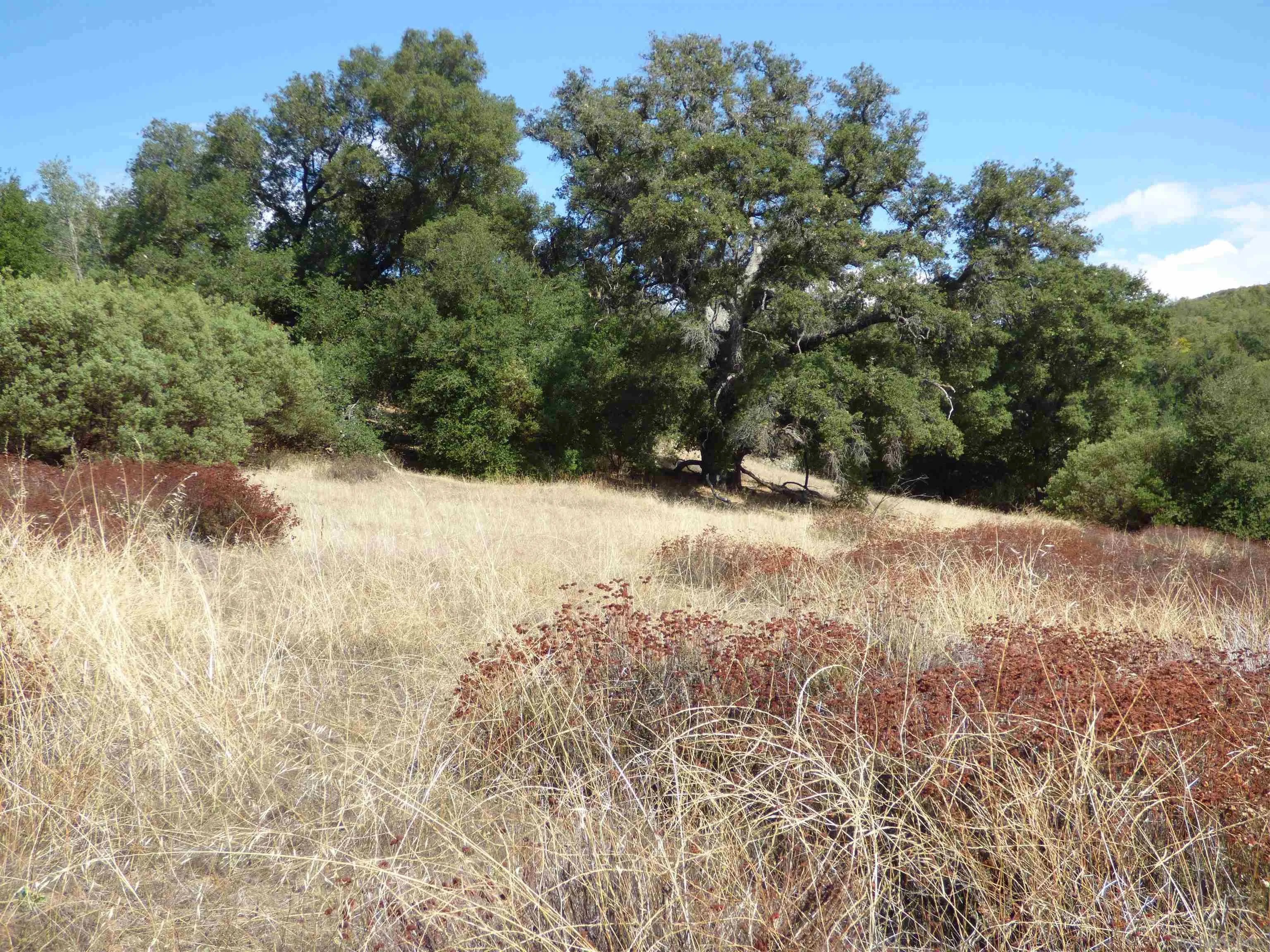 Engineers Road Southeast N/K