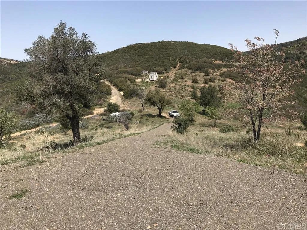 Penstemon Rd