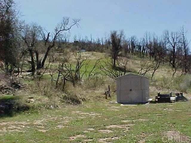 Penstemon Rd
