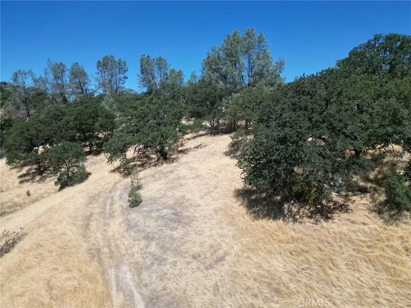 16275 Oakridge