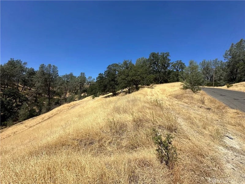 16275 Oakridge