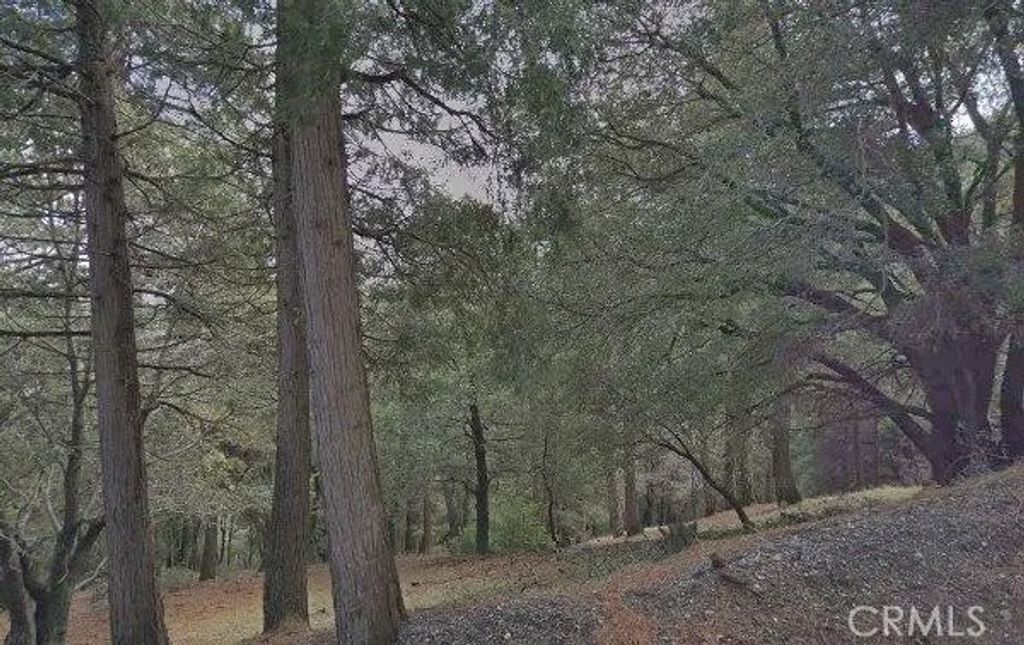 Photo of 0 Burnt Mill Canyon, Cedarpines Park, CA 92322 (MLS # CV26011425)