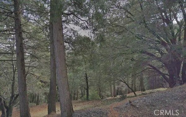 0 Burnt Mill Canyon