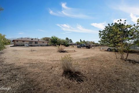 Tiny photo for 13205 E Ave W11, Pearblossom, CA 93553 (MLS # V1-33076)