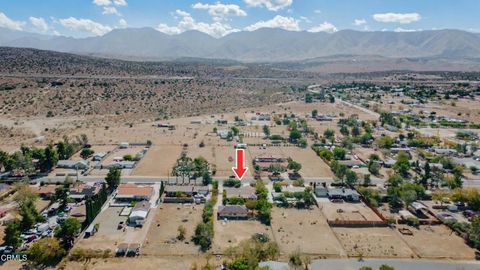 Tiny photo for 13205 E Ave W11, Pearblossom, CA 93553 (MLS # V1-33076)