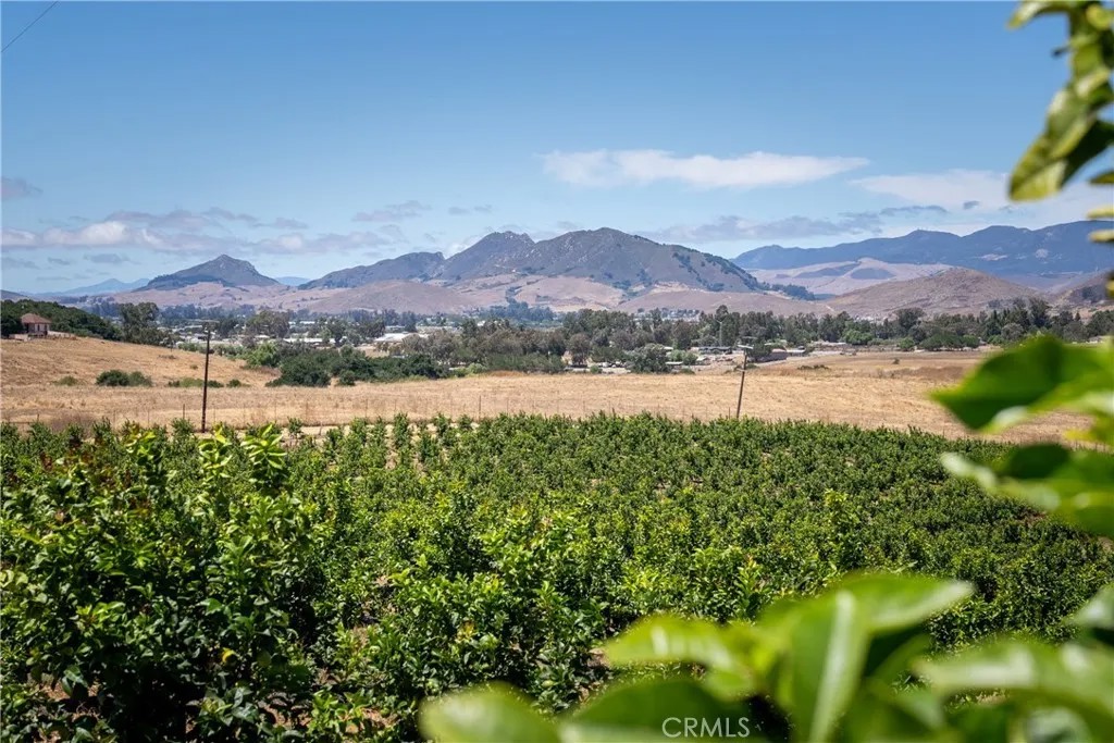 5502 Los Ranchos