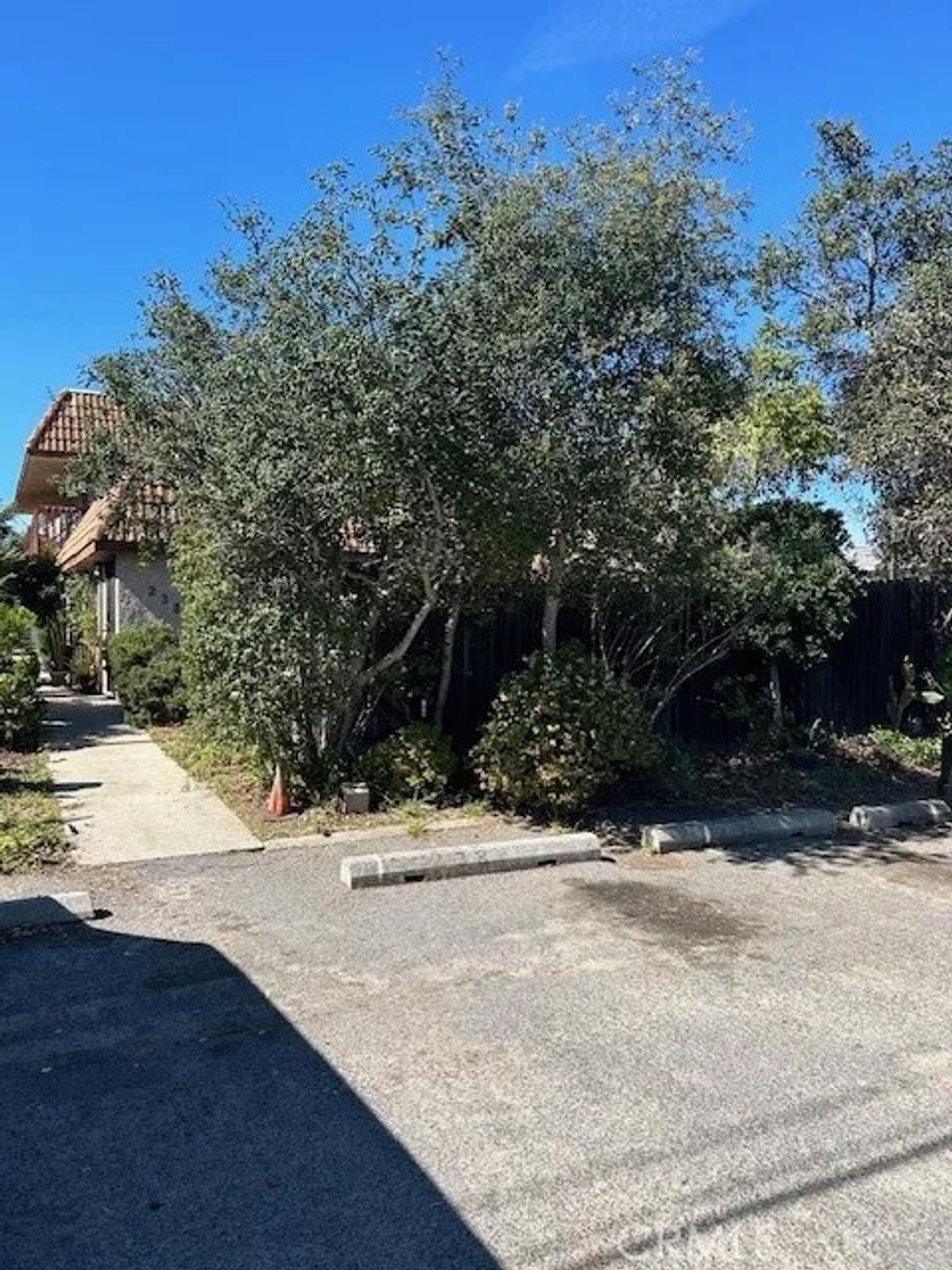 Photo of 238 N Pico Avenue, Fallbrook, CA 92028 (MLS # IG26050891)