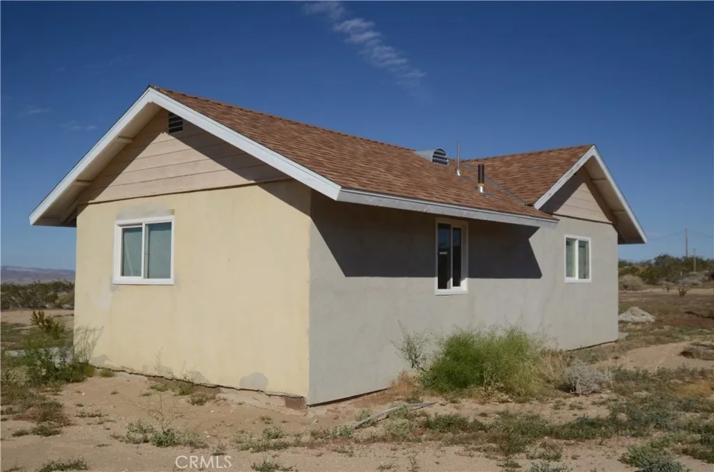 51033 Joshua Tree