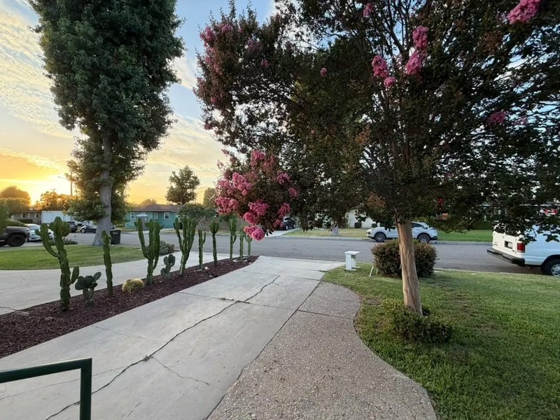 15076 Danbrook Drive