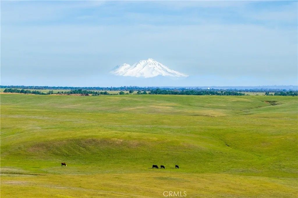 Photo of 0 Rancho Tehama, Red Bluff, CA 96080 (MLS # SN26114865)