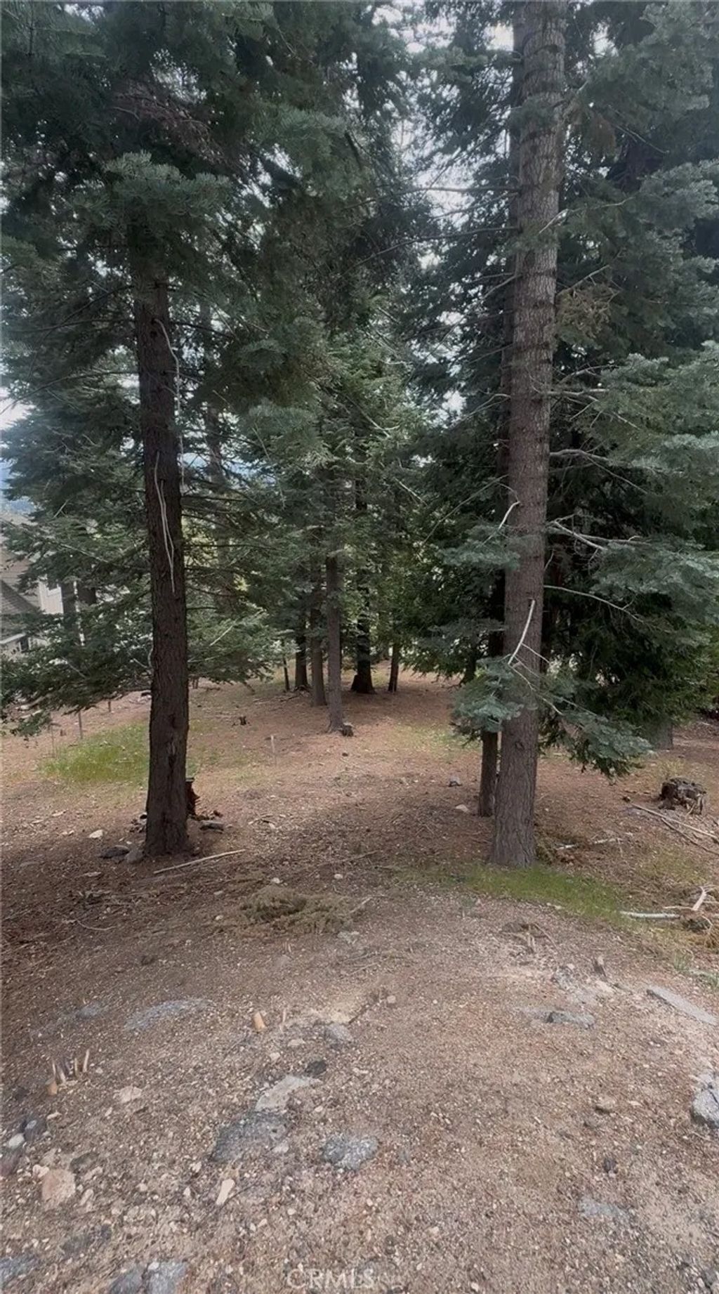 Photo of 295 Grandview Rd, Twin Peaks, CA 92391 (MLS # IV26082864)