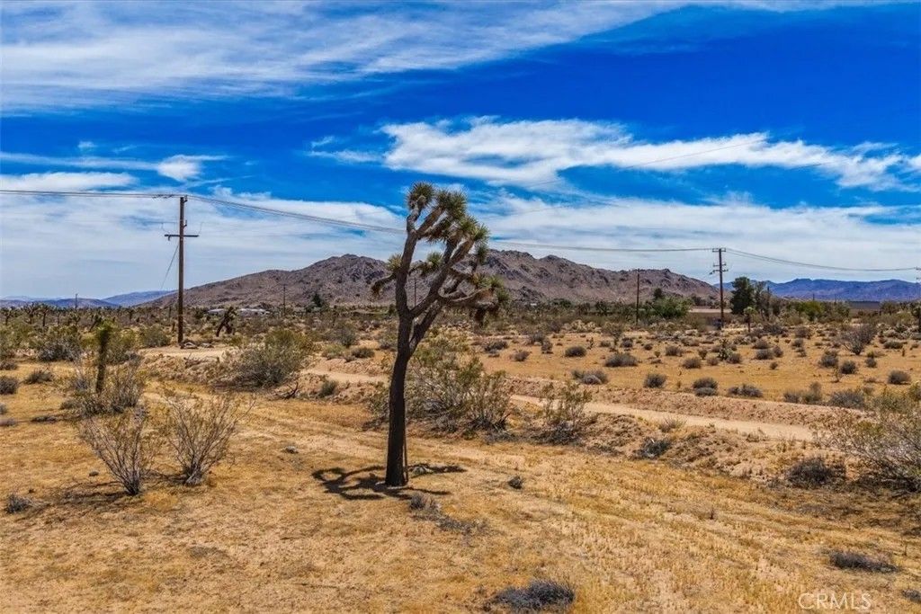 Photo of 59688 Drexel Rd, Yucca Valley, CA 92284 (MLS # JT26088999)