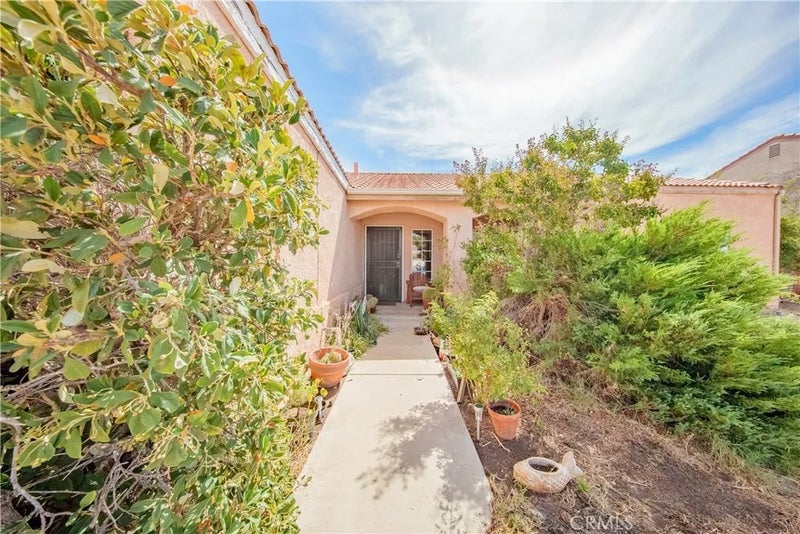 12391 Chuckwalla