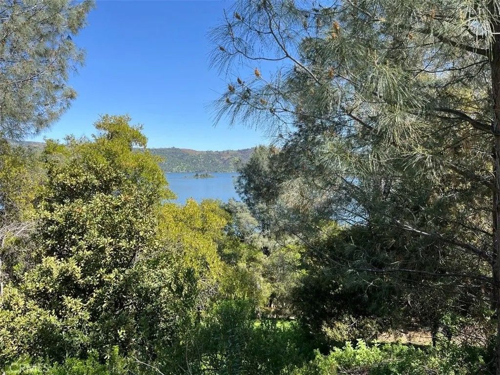 Photo of 8452 Soda Bay Rd, Kelseyville, CA 95451 (MLS # LC26013222)