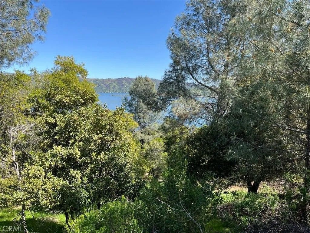 Photo of 8452 Soda Bay Rd, Kelseyville, CA 95451 (MLS # LC26013222)