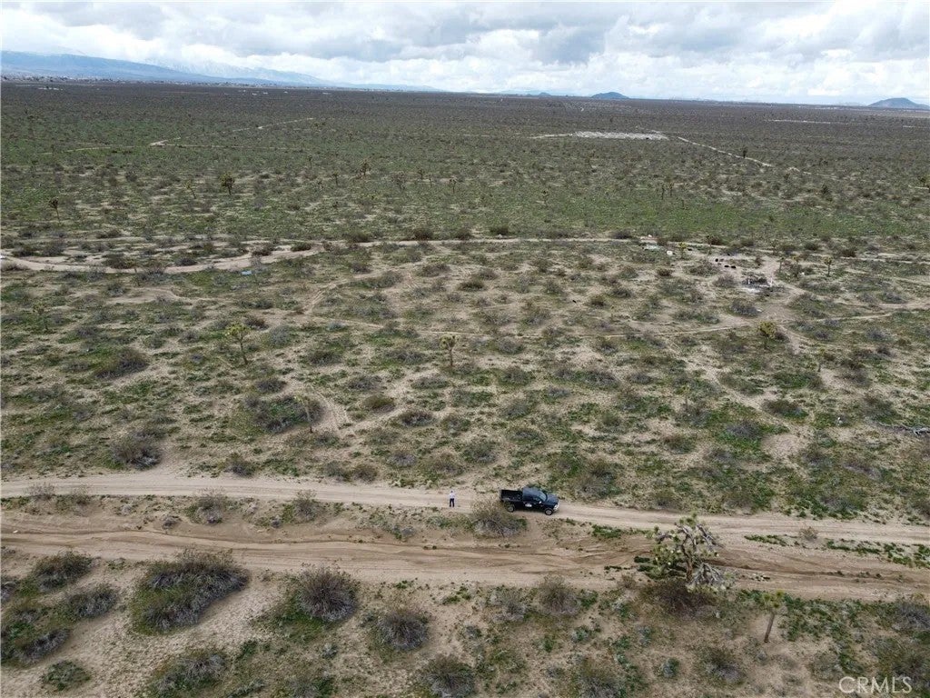 6 Nevada