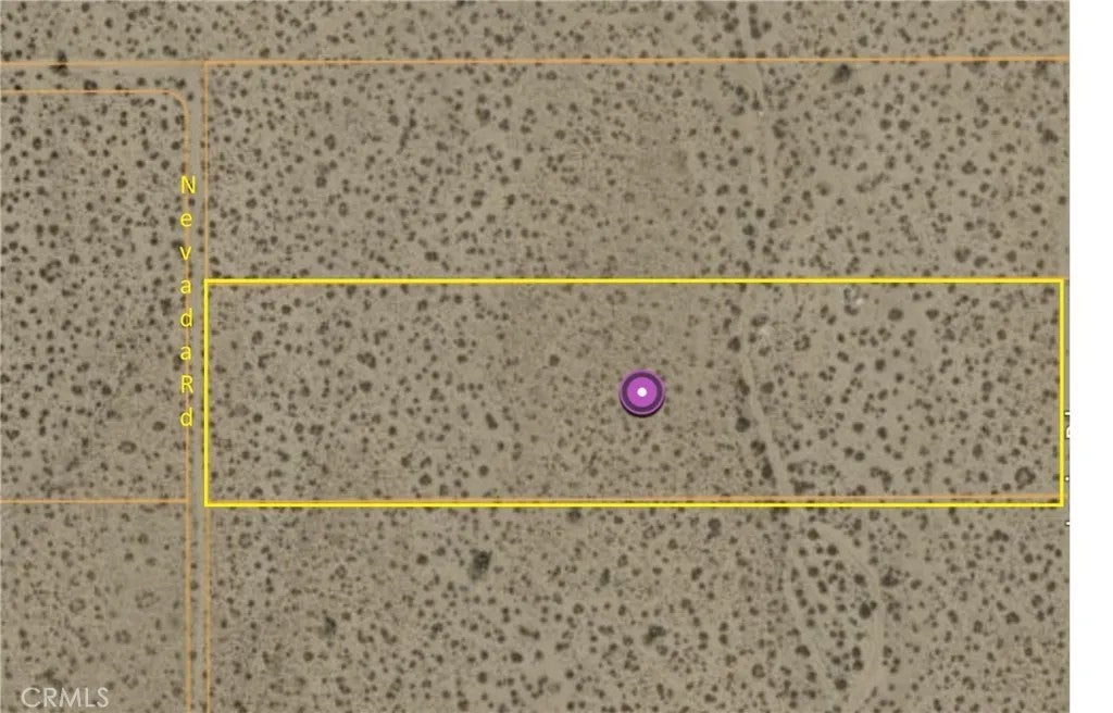 6 Nevada