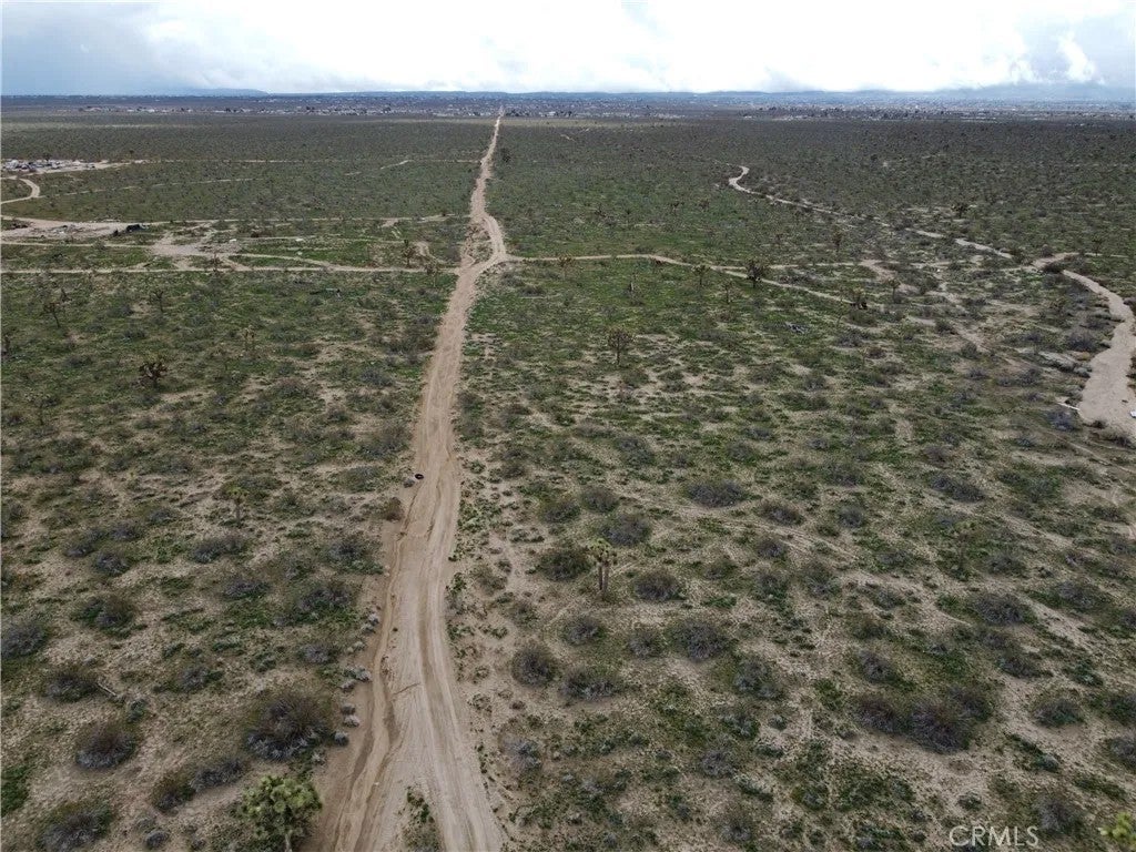 6 Nevada