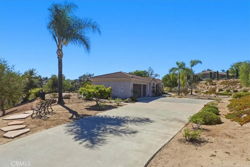 3927 Limber Pine