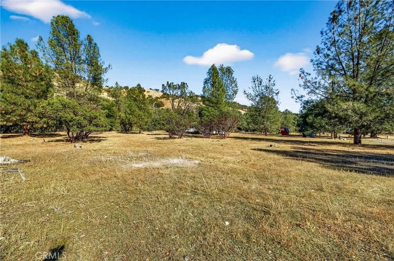 3245 Weeping Willow