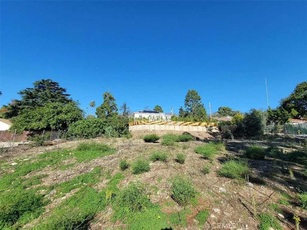 2442 Cross Street