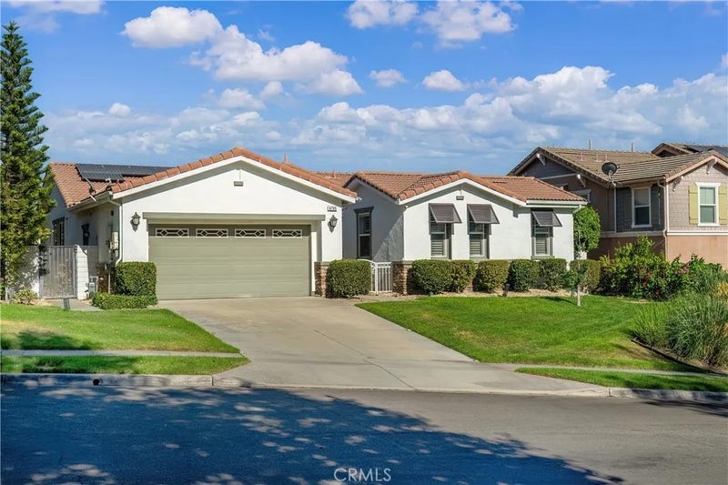 4795 Thornbush