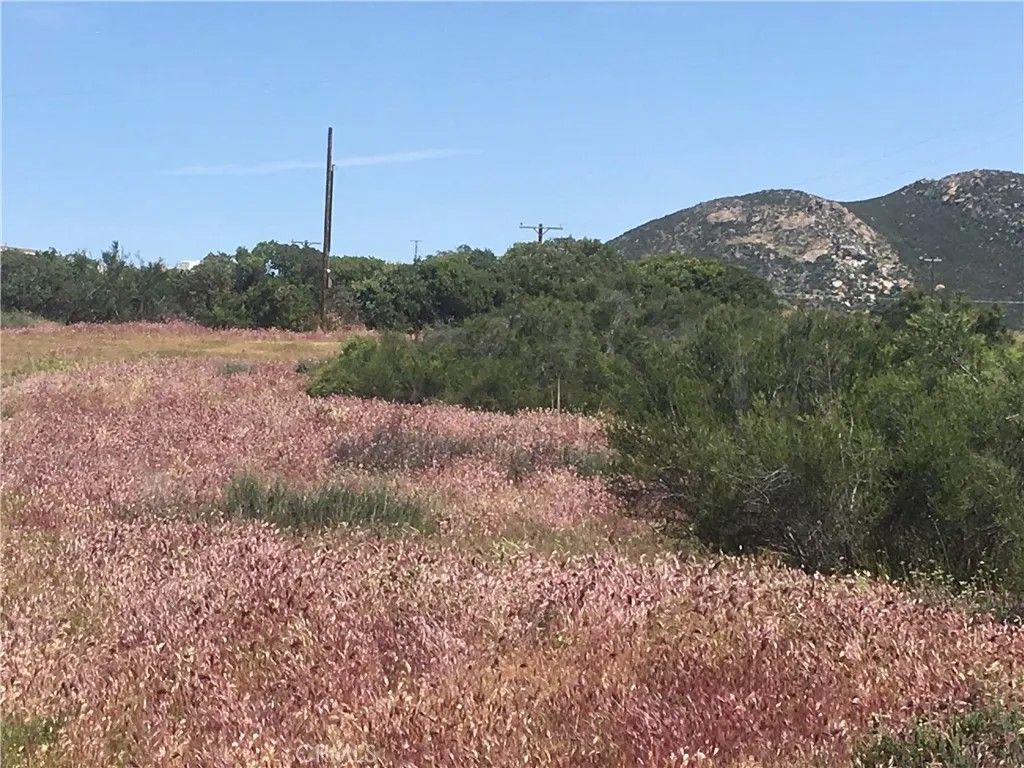 Photo of 7 Willow Creek, Hemet, CA 92544 (MLS # SW26102748)