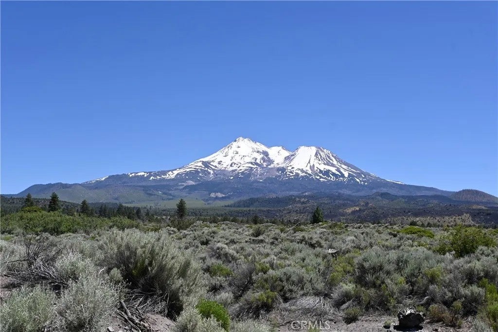 Photo of 0 Timber Rd, Montague, CA 96064 (MLS # SN26128244)