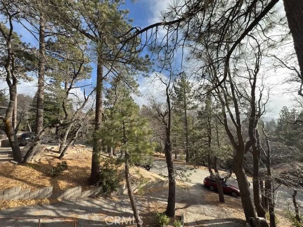 Photo of 33058 Juniper Lane, Green Valley Lake, CA 92341 (MLS # IV26017144)