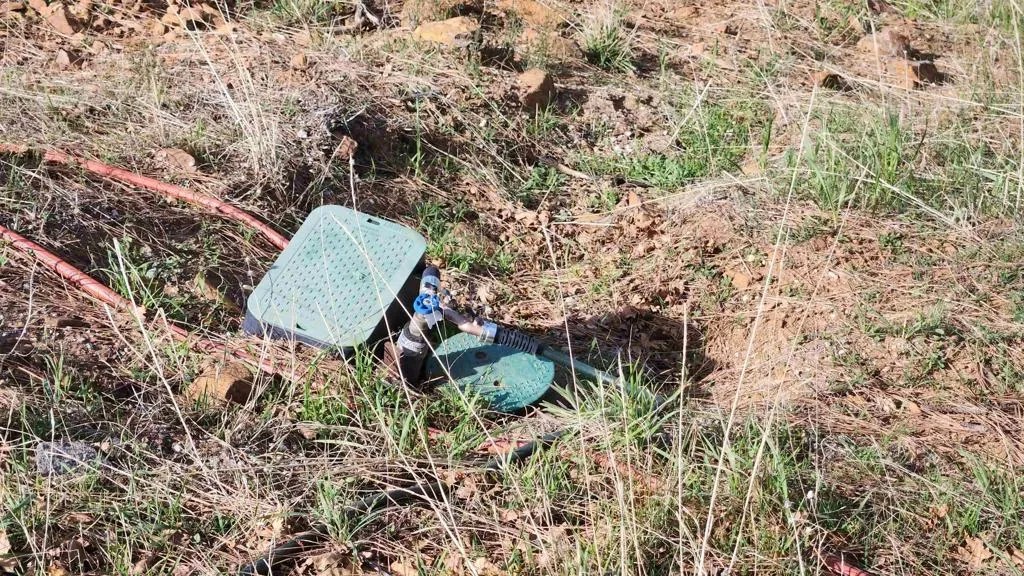 5566 Acorn Patch Rd.