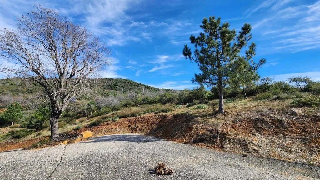 Photo of 5566 Acorn Patch Rd, Julian, CA 92036 (MLS # PTP2602210)