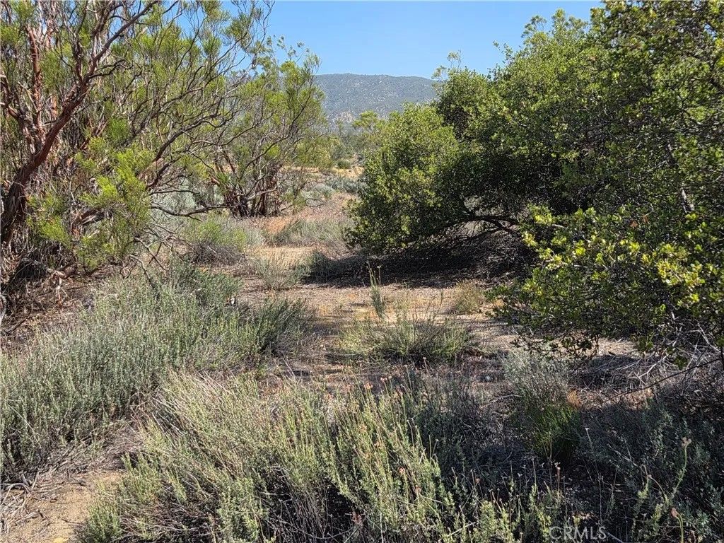 Photo of 56941 Cain Rd, Anza, CA 92539 (MLS # SW26082457)
